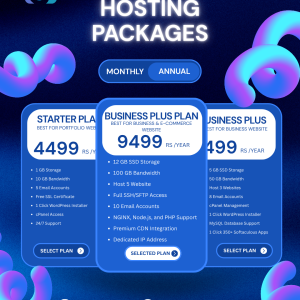 Business Plus Hosting Plan